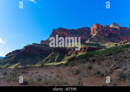 Lumière du matin dans le Grand Canyon Banque D'Images