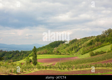 Village serbe paysage, printemps, au cours de la journée. Banque D'Images