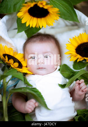 Mignon bébé aux cheveux rouges portant une chemise blanche smiling avec tournesols jaune et noir Banque D'Images