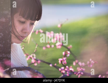 Portrait de rêve d'une jeune et belle fille asiatique dans un pull blanc au coucher du soleil avec une fleur de cerisier rose Banque D'Images