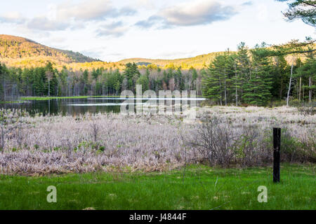 Indian Pond dans Madame Sherri forêt dans le New Hampshire Banque D'Images