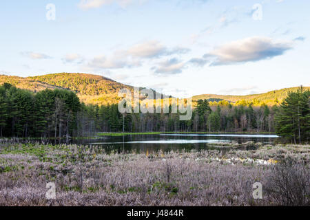 Indian Pond dans Madame Sherri forêt dans le New Hampshire Banque D'Images