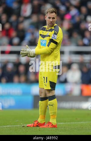 ROB ELLIOT NEWCASTLE UNITED FC NEWCASTLE UNITED FC ST JAMES PARK NEWCASTLE ANGLETERRE 21 Novembre 2015 Banque D'Images