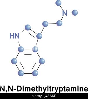 N,N-diméthyltryptamine est un psychédélique composé de tryptamines. C'est un analogue structural de la sérotonine et la mélatonine et un analogue de s Illustration de Vecteur