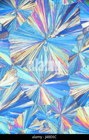 Image du microscope de cristaux d'Asipirin (acide acétylsalicylique) photographié en lumière polarisée Banque D'Images