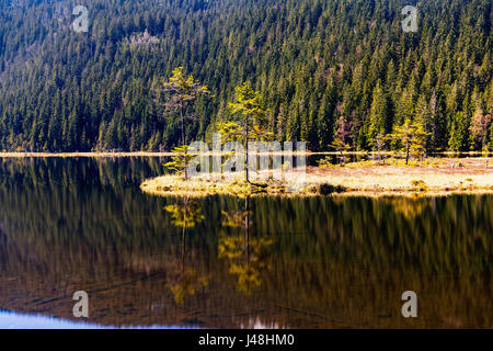 Le lac Moraine Kleiner Arbersee avec mont Arber Brut - Bavière, Allemagne. C'est une relique de l'âge de glace et a été classé comme un terme au lac Moraine. Banque D'Images