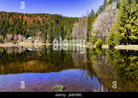 Belle journée ensoleillée de printemps sur le lac de moraine Kleiner Arbersee brut avec le mont Arber, Bavière, Allemagne. C'est une relique de l'âge de glace comme le lac Moraine.En e Banque D'Images