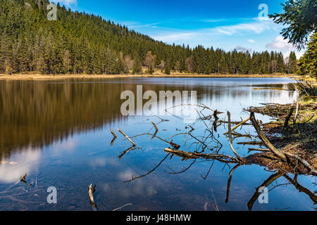 Le lac Moraine Kleiner Arbersee avec mont Arber Brut - Bavière, Allemagne. C'est une relique de l'âge de glace et a été classé comme un terme au lac Moraine. Banque D'Images