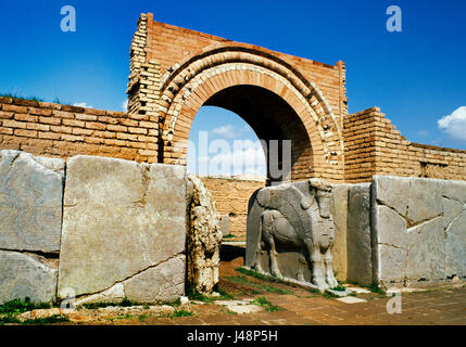 Nimrud, Iraq : les taureaux ailés à tête humaine gardant l'entrée de la cour centrale (Y) de la NW Palace dans la salle du trône complexe (prix F). L'écriture cunéiforme ins Banque D'Images