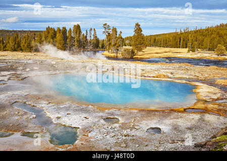 La vapeur chaude du printemps dans le Parc National de Yellowstone, Wyoming, USA. Banque D'Images