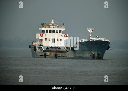 Parc national des Sundarbans, célèbre pour ses tigre du Bengale au Bangladesh Banque D'Images