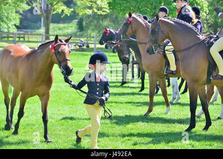 Windsor, Royaume-Uni. 10 mai, 2017. Gracie Aungier 7 ans, promenades à poney son Broadgrove Littlestar en arrière après avoir été jugé dans l'Arène qui, plus tard, dans la seconde partie produites et Anglo arabes, 148 cm et moins, dans l'arène d'Adélaïde sur une glorieuse ensoleillé - jour 1 de la Royal Windsor Horse Show dans le parc du château de Windsor Berkshire UK. Gary crédit Blake/Alamy Live News Banque D'Images