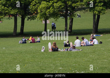 Leeds, UK. Le 11 mai, 2017. Météo britannique. Les gens ont été bronzer et profiter du soleil sur Hyde Park à Londres cet après-midi. Hyde Park est populaire auprès des étudiants en raison de son emplacement entre Headingley et l'Université de Leeds. Une très chaleureuse et généralement ensoleillé jour avec quelques nuages brumeux au milieu de l'après-midi. Credit : James Copeland/Alamy Live News Banque D'Images