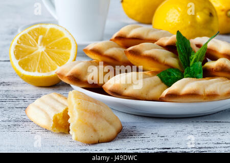 Madeleine français cookies de sucre en poudre et le tamis sur parquet en bois naturel de couleur pâle. Banque D'Images