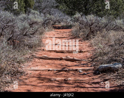 L'ensemble de journaux de Taylor Creek Canyon Kolob en sentier de terre Banque D'Images