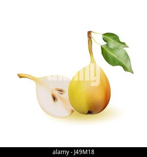 Poire jaune comme source de vitamines et minéraux pour augmenter l'énergie et lutter contre la fatigue et la dépression. Poire et une moitié. Illustration de Vecteur