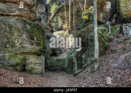 Sentier de randonnée dans le Paradis - Le Paradis de Bohême est l'espace naturel préservé. Il a été déclaré en 1955 a été la première réserve naturelle en République Tchèque Banque D'Images