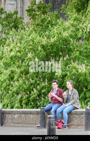 Un couple d'étudiants s'asseoir manger leur repas sur un muret à l'extérieur de l'avant de King's College à l'université de Cambridge, Angleterre, Grande-Bretagne. Banque D'Images