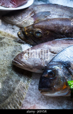 Quatre poissons frais sur la glace Banque D'Images