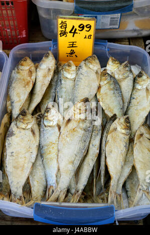 Poisson séché et salé en vente dans un magasin à Chinatown, Vancouver, British Columbia, Canada Banque D'Images