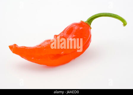 Bhut jolokia Chili Banque D'Images