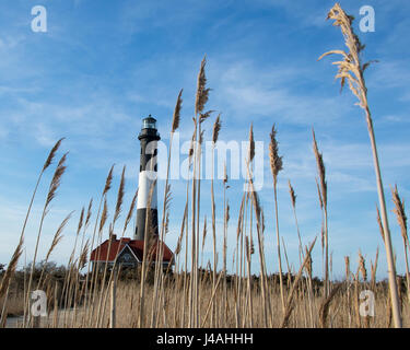 Fire Island Lighthouse at the Fire Island National Seashore, Long Island, NY Banque D'Images