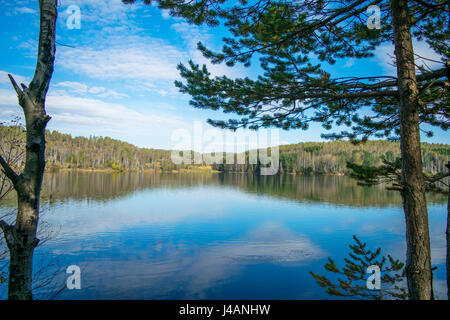 Lac de la forêt dans le cadre de blue cloudy sky Banque D'Images