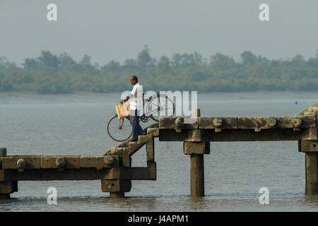 Un homme à bicyclette dans le parc national des Sundarbans Jungle en Inde Banque D'Images