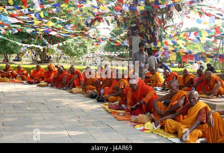 Lumbini, Népal. 10 mai, 2017. Monks offrir des prières au temple Mayadevi, lieu de naissance de Bouddha Gautam Bouddha Jayanti pendant festival à Lumbini au Népal. 2561Th Bouddha Jayanti est célébré partout dans le monde comme l'anniversaire de la naissance de Lord Gautam Bouddha. Credit : Archana Shrestha/Pacific Press/Alamy Live News Banque D'Images