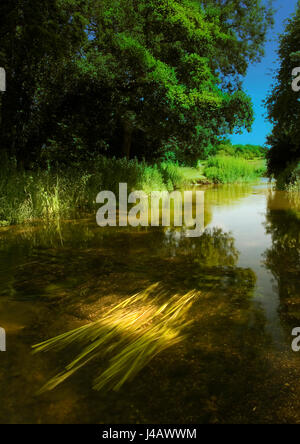 Un flux de craie Banque D'Images
