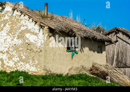 Maison abandonnée dans le village de pêche mila 23, delta du Danube, Roumanie Banque D'Images