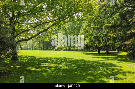 Pelouse entourée d'arbres sur une journée de printemps ensoleillée à Abington, Northampton. Banque D'Images