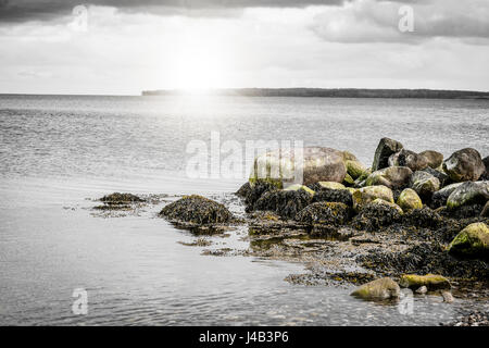 Par la mer des rochers couverts d'algues sur la plage en plein soleil Banque D'Images