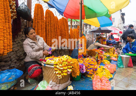 La préparation d'une vendeuse de fleurs collier. Katmandou, Népal. Banque D'Images