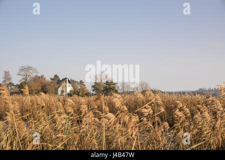 Hôtel particulier dans la nature sauvage d'herbages et d'arbres à l'automne sur un matin tôt avec ciel bleu Banque D'Images