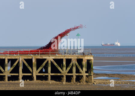 Poppies Wave, qui fait partie de l'installation d'art Blood Swept Lands and Seas of Red à l'extrémité de Barge Pier, Shoeburyness avec l'estuaire de la Tamise et Copyspace Banque D'Images