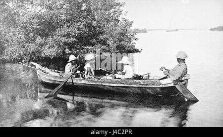 Une illustration du Popular Science Monthly (volume 44, page 470) représentant des mangroves et un bateau de pêche indigène en Jamaïque, mettant en évidence l'écosystème côtier de l'île et les pratiques de pêche traditionnelles. Banque D'Images