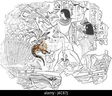 Cette image du PSM (Popular Science Monthly) volume 37, page D104, représente une scène de volaille égyptienne. L'œuvre présente une scène de chasse égyptienne antique, illustrant l'utilisation de filets pour la capture d'oiseaux, reflétant les pratiques culturelles et quotidiennes de l'Égypte antique. Banque D'Images