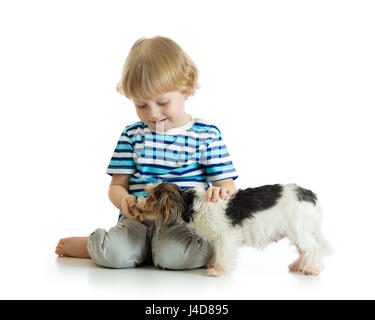 Garçon enfant rss dog puppy isolated on white Banque D'Images