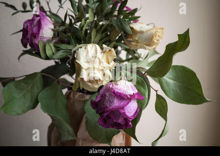 Bouquet de roses blanches et rouges séchés, gros plan photo clé faible sur fond de mur gris doux, selective focus Banque D'Images