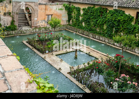 Piscine et jardins, El Generalife (d'été), l'Alhambra, Grenade, Espagne Banque D'Images