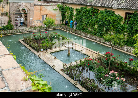 Personnes, piscine et jardins, El Generalife (d'été), l'Alhambra, Grenade, Espagne Banque D'Images