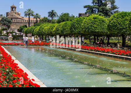 Fontaines et jardins, de l'Alcazar de los Reyes Cristianos (Palais des Rois Chrétiens), Cordoue, Espagne Banque D'Images