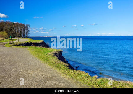 Brodtener Steilufer sur la mer Baltique au Schleswig - Holstein, Ostholstein, Allemagne, Europe, Brodtener Steilufer an der Ostsee dans Schlesw, Ostholstein Banque D'Images