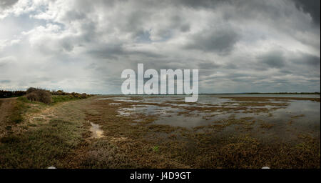 Marée basse à Pagham Harbour Réserve Naturelle dans le West Sussex, UK Banque D'Images