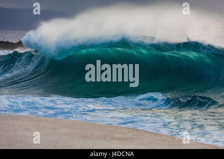 Une grande vague de shorebreak dans la soirée à Keiki Beach sur la côte nord d'Oahu. Banque D'Images