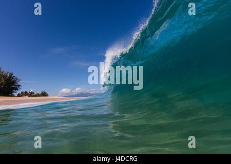 Une vague shorebreak à Keiki Beach sur la côte nord d'Oahu. Banque D'Images