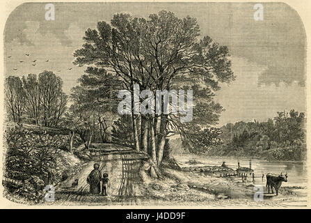Gravure 1854 antique, vue sur la rivière Harlem, près de High Bridge, New York. Le haut pont (à l'origine le pont-aqueduc) est le plus vieux pont de la ville de New York. Le pont a été achevé en 1848 comme un pont en arc de pierre. SOURCE : gravure originale. Banque D'Images