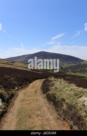 Cateran Trail et le Mont Blair Ecosse Mai 2017 Banque D'Images