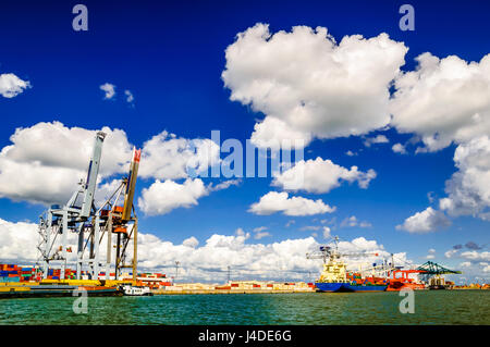 Avis sur les grues de port d'Anvers en Belgique Banque D'Images